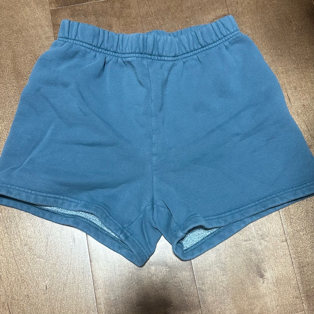 Aritzia Women's Blue Athletic Pull-On Shorts